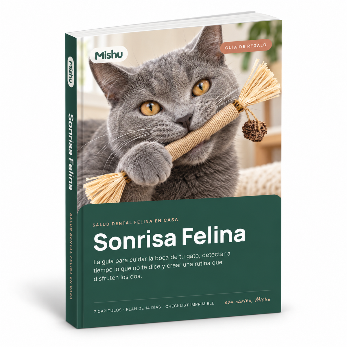 + Guía de Salud Dental GRATIS