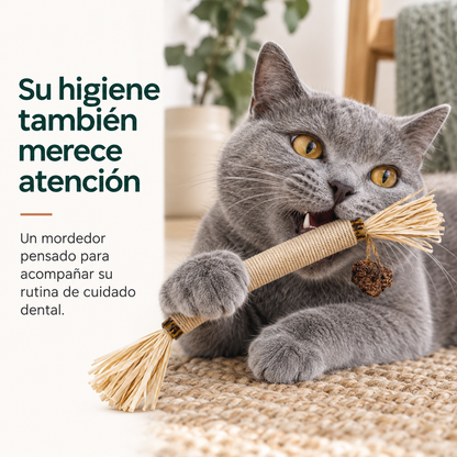 Mordedor para Higiene Dental de Gatos
