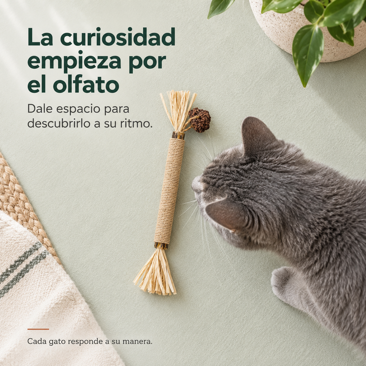 Mordedor para Higiene Dental de Gatos