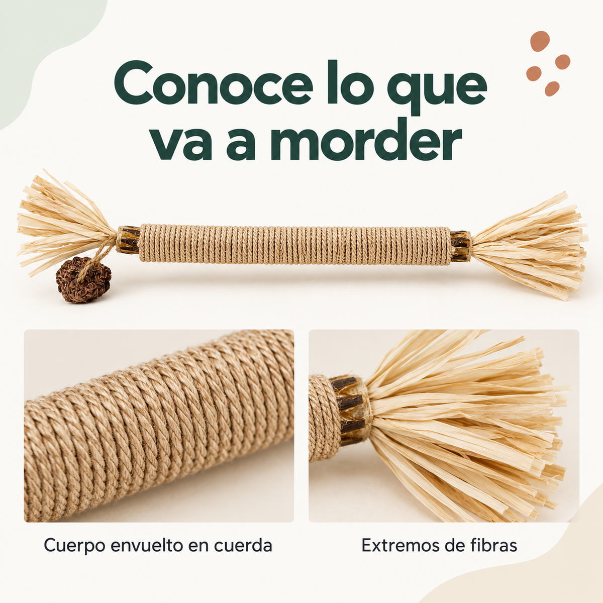 Mordedor para Higiene Dental de Gatos