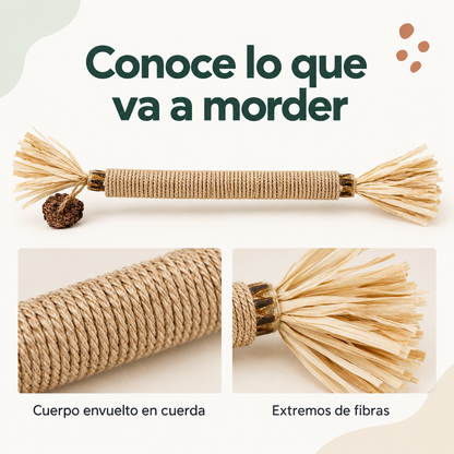Mordedor para Higiene Dental de Gatos